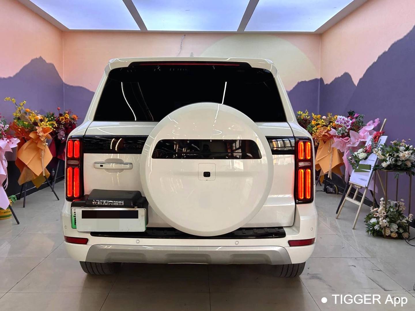 TANK  500 New Energy 2023 TANK  500 Hi4-T 2.0T Hi4-T Automatic Transmission