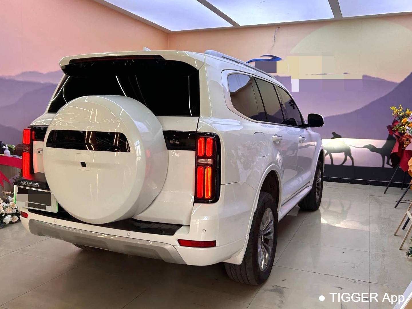 TANK  500 New Energy 2023 TANK  500 Hi4-T 2.0T Hi4-T Automatic Transmission