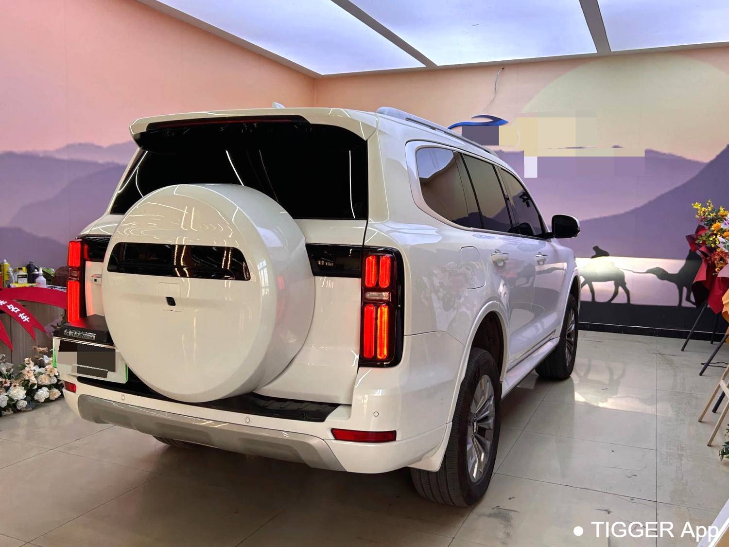 used TANK  500 New Energy 2023 TANK  500 Hi4-T 2.0T Hi4-T Automatic Transmission