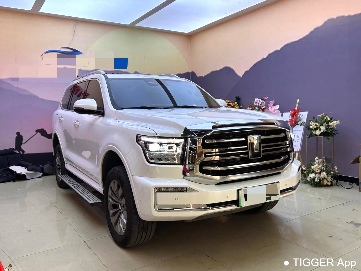 used TANK  500 New Energy 2023 TANK  500 Hi4-T 2.0T Hi4-T Automatic Transmission