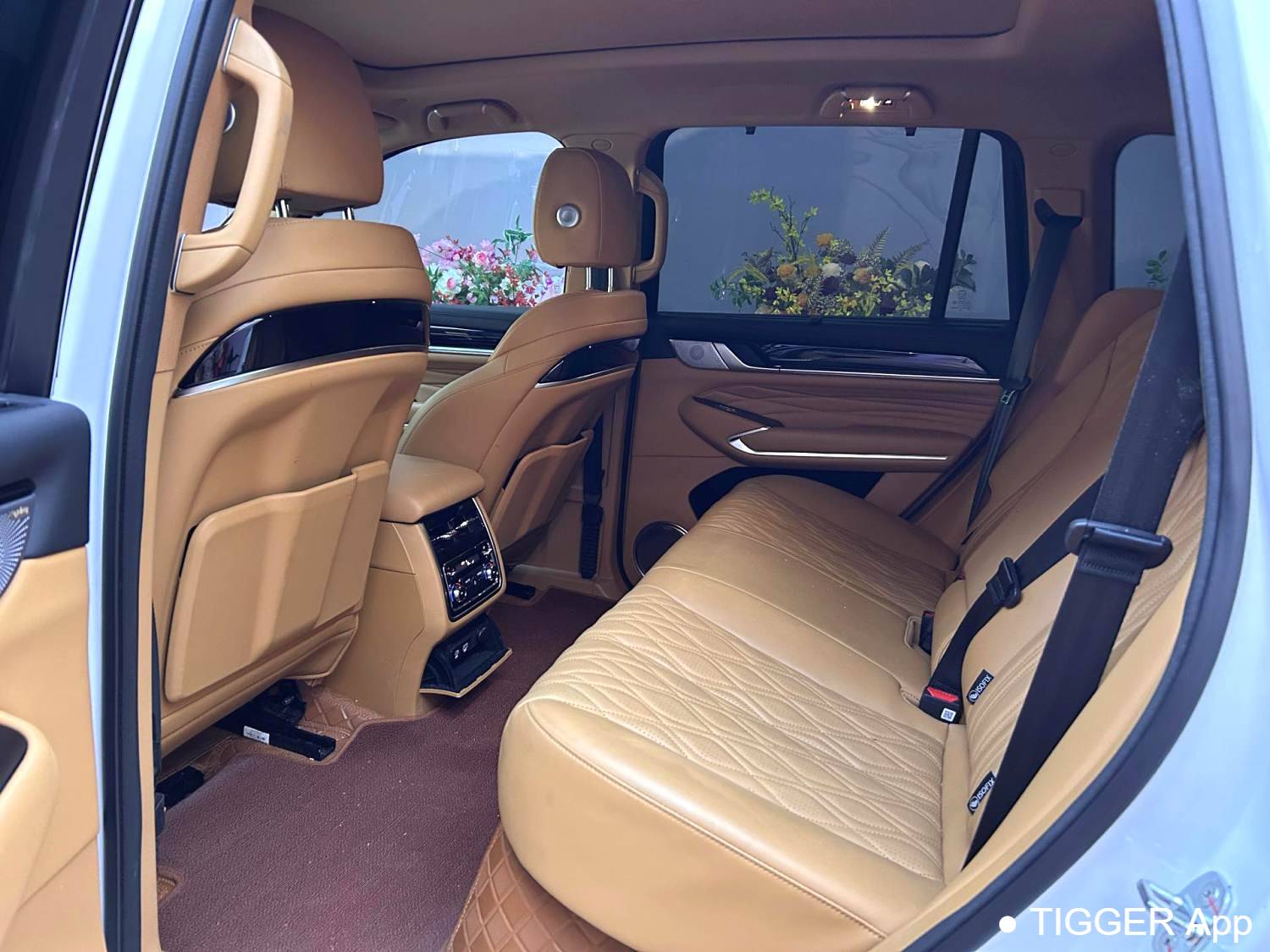 used TANK  500 New Energy 2023 TANK  500 Hi4-T 2.0T Hi4-T Automatic Transmission