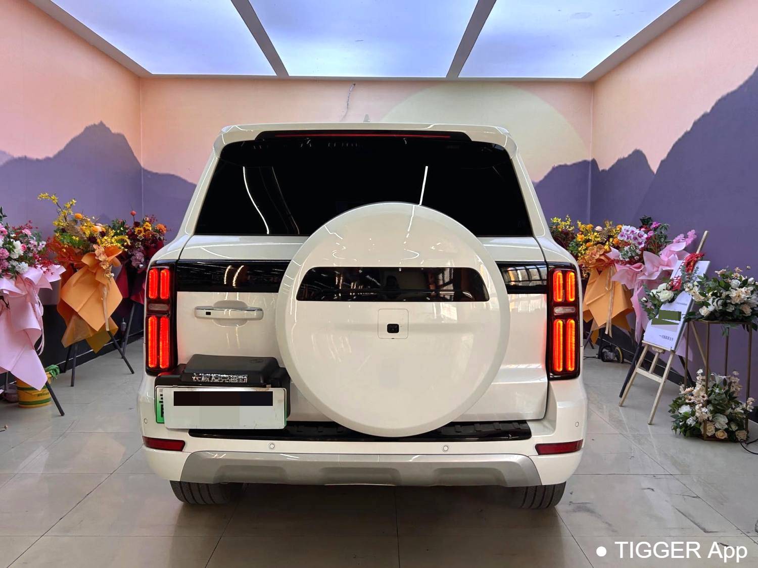 used TANK  500 New Energy 2023 TANK  500 Hi4-T 2.0T Hi4-T Automatic Transmission