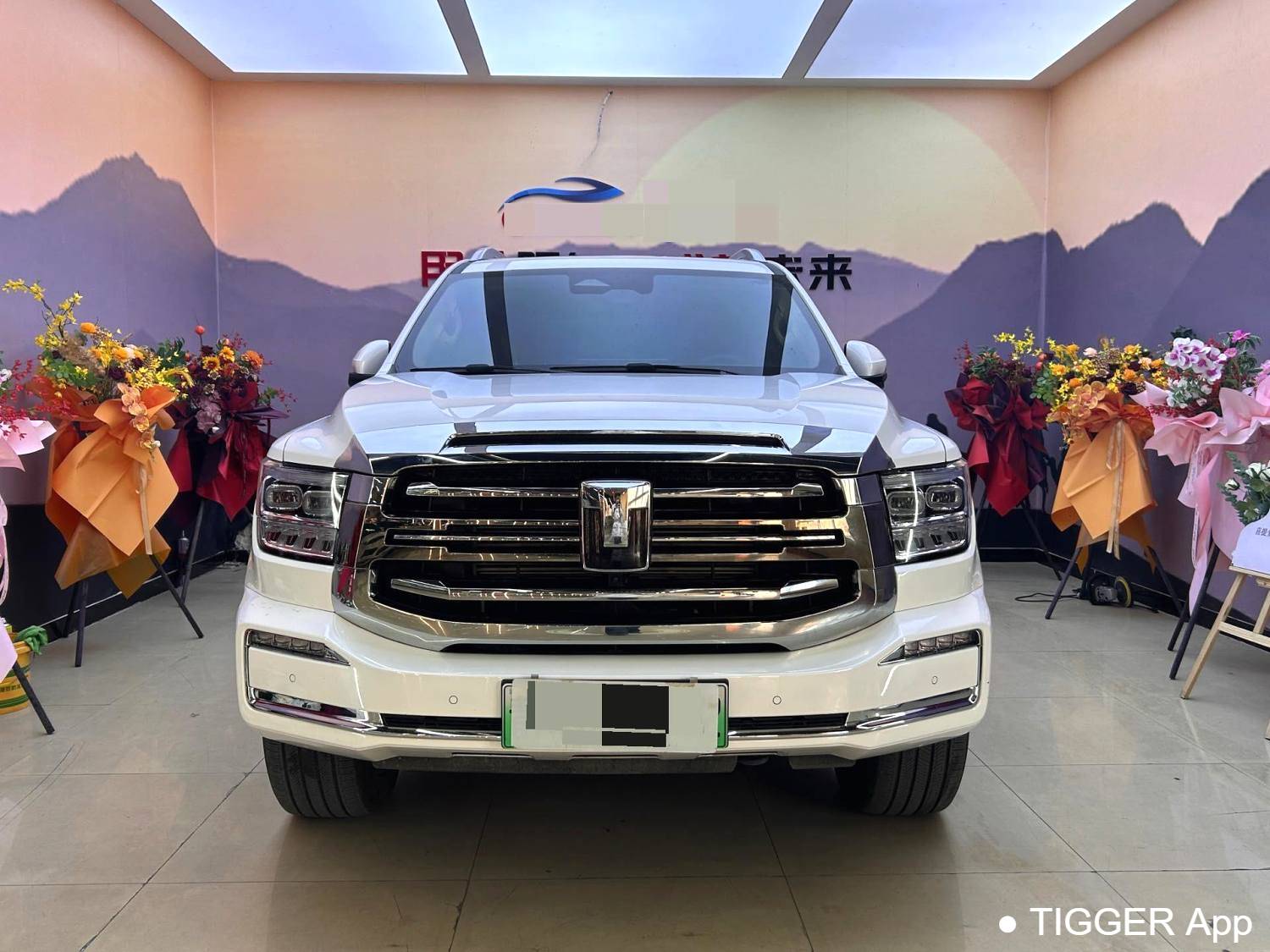 used TANK  500 New Energy 2023 TANK  500 Hi4-T 2.0T Hi4-T Automatic Transmission