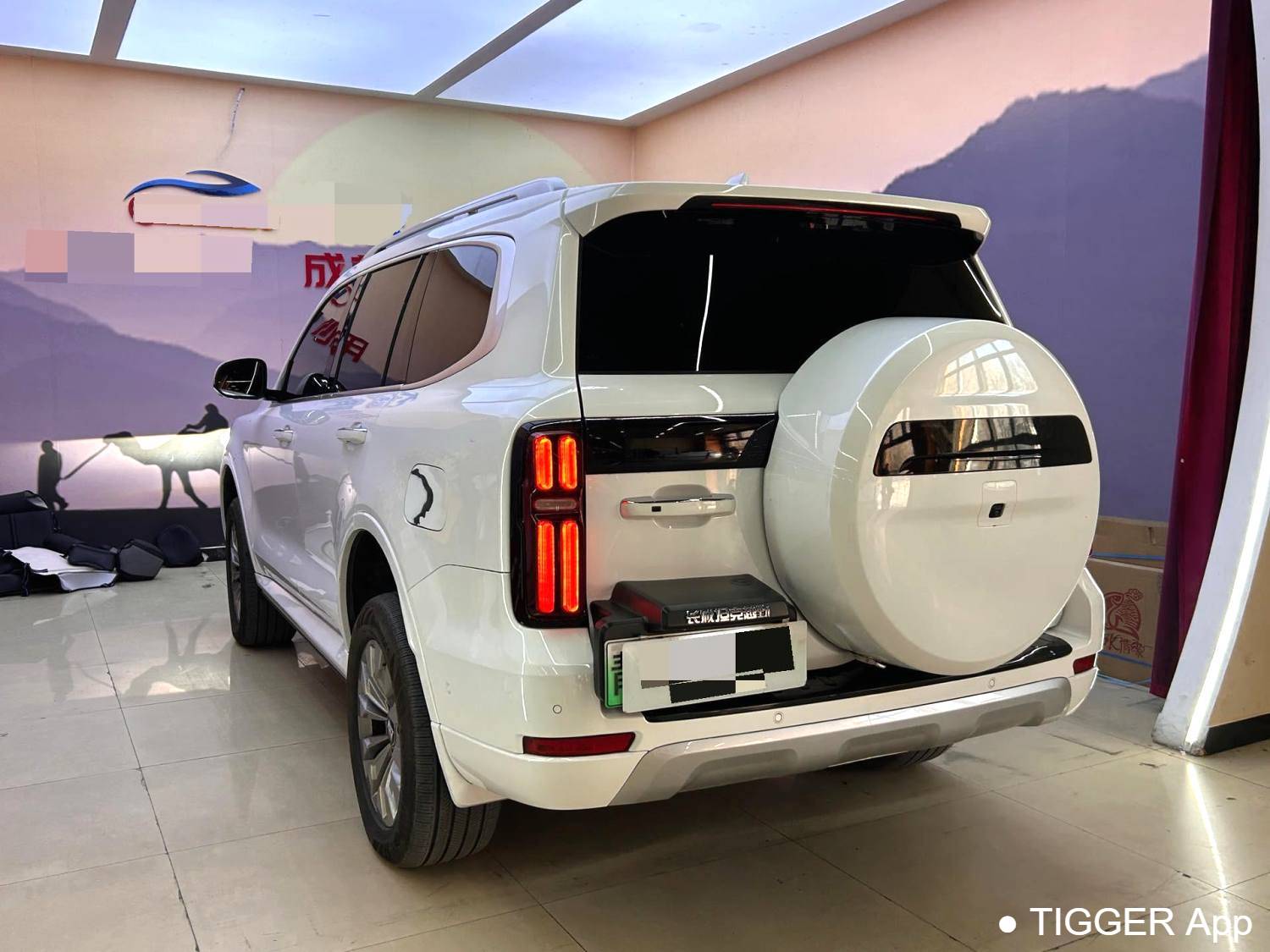 used TANK  500 New Energy 2023 TANK  500 Hi4-T 2.0T Hi4-T Automatic Transmission