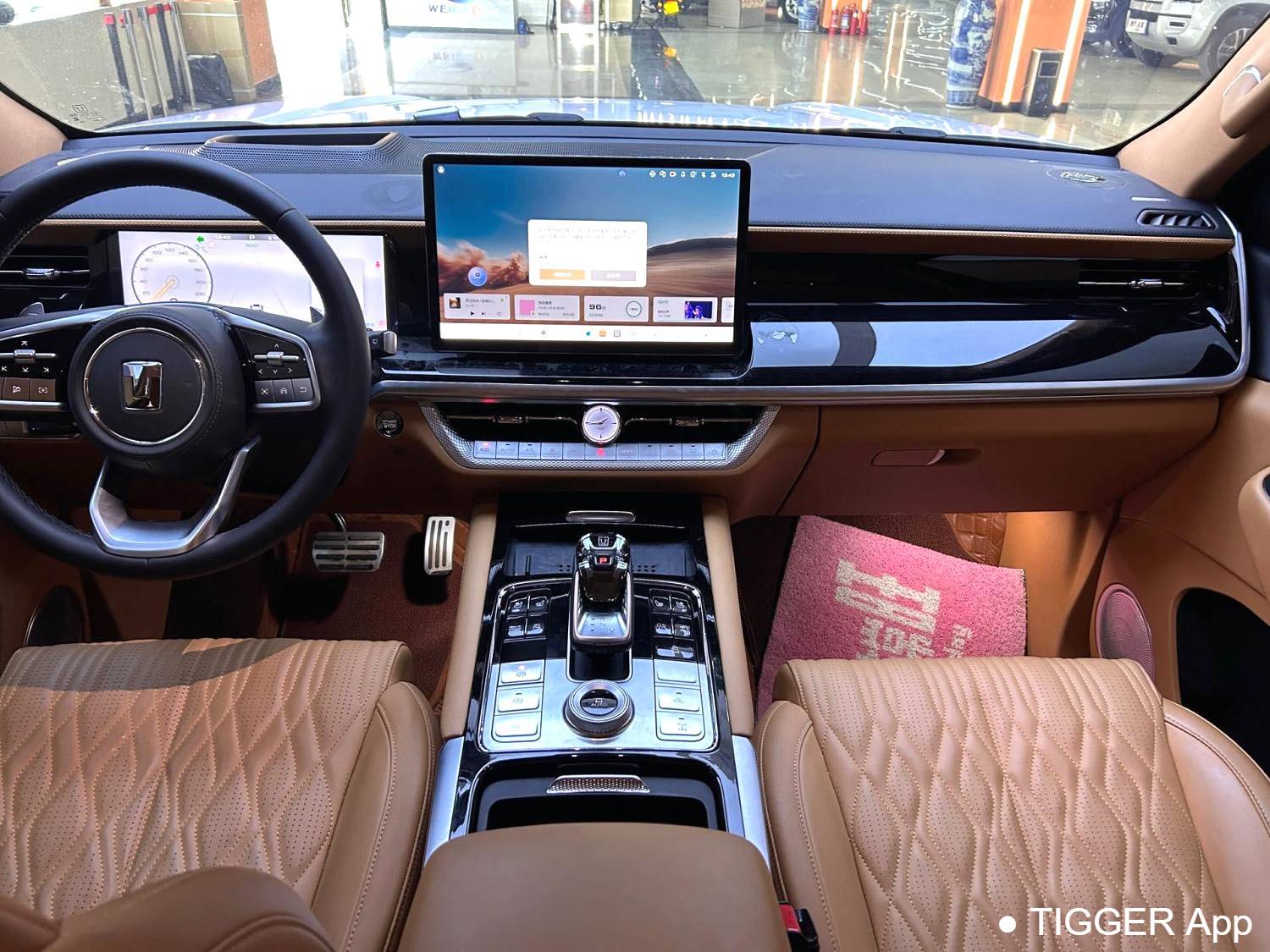 used TANK  500 New Energy 2023 TANK  500 Hi4-T 2.0T Hi4-T Automatic Transmission