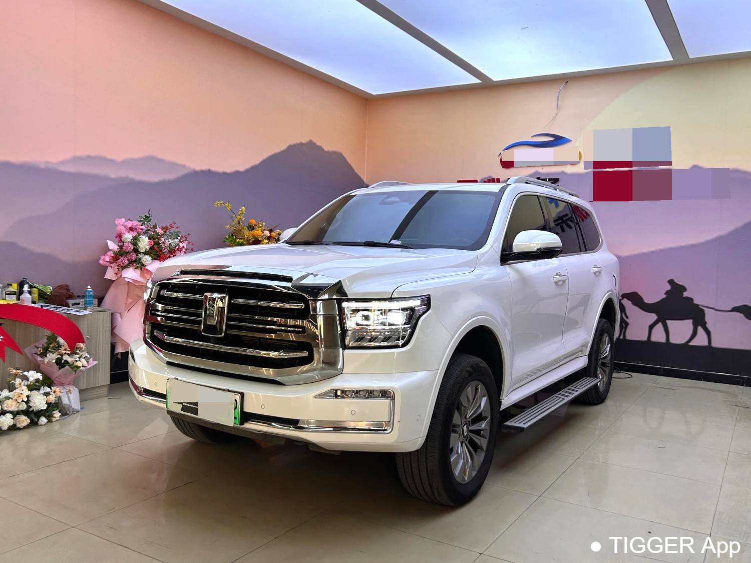 used TANK  500 New Energy 2023 TANK  500 Hi4-T 2.0T Hi4-T Automatic Transmission