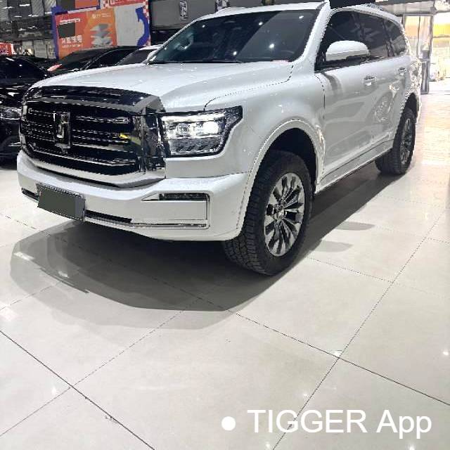 TANK  2023 TANK  500 48V 3.0T Sport Build Environment 5-seater automatic transmission Used Car