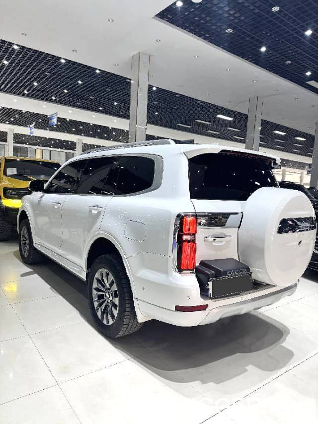 used TANK  2023 TANK  500 48V 3.0T Sport Build Environment 5-seater automatic transmission