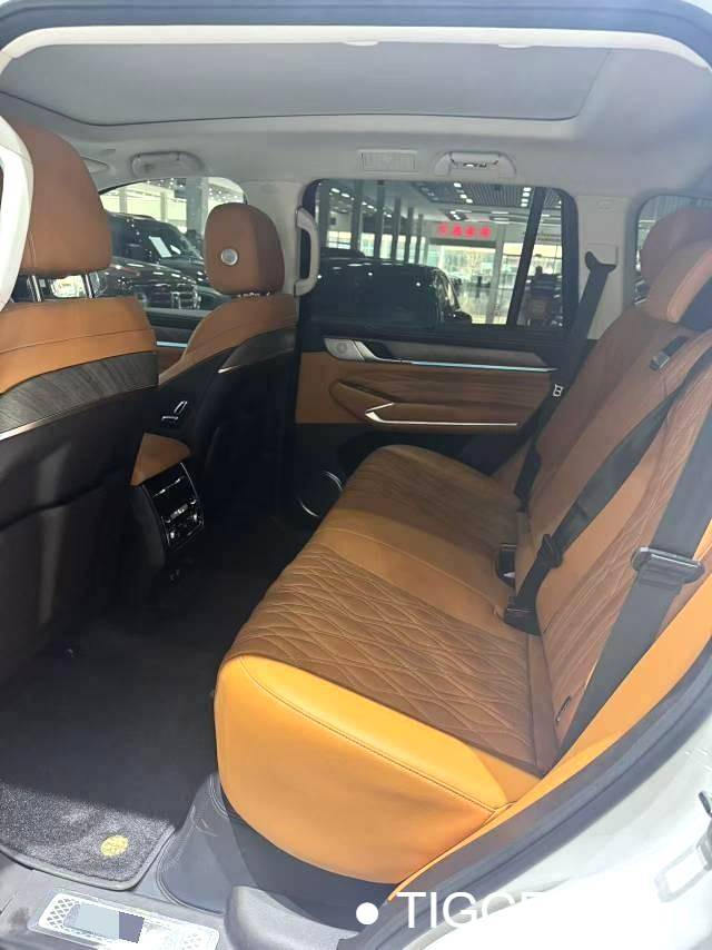 used TANK  2023 TANK  500 48V 3.0T Sport Build Environment 5-seater automatic transmission