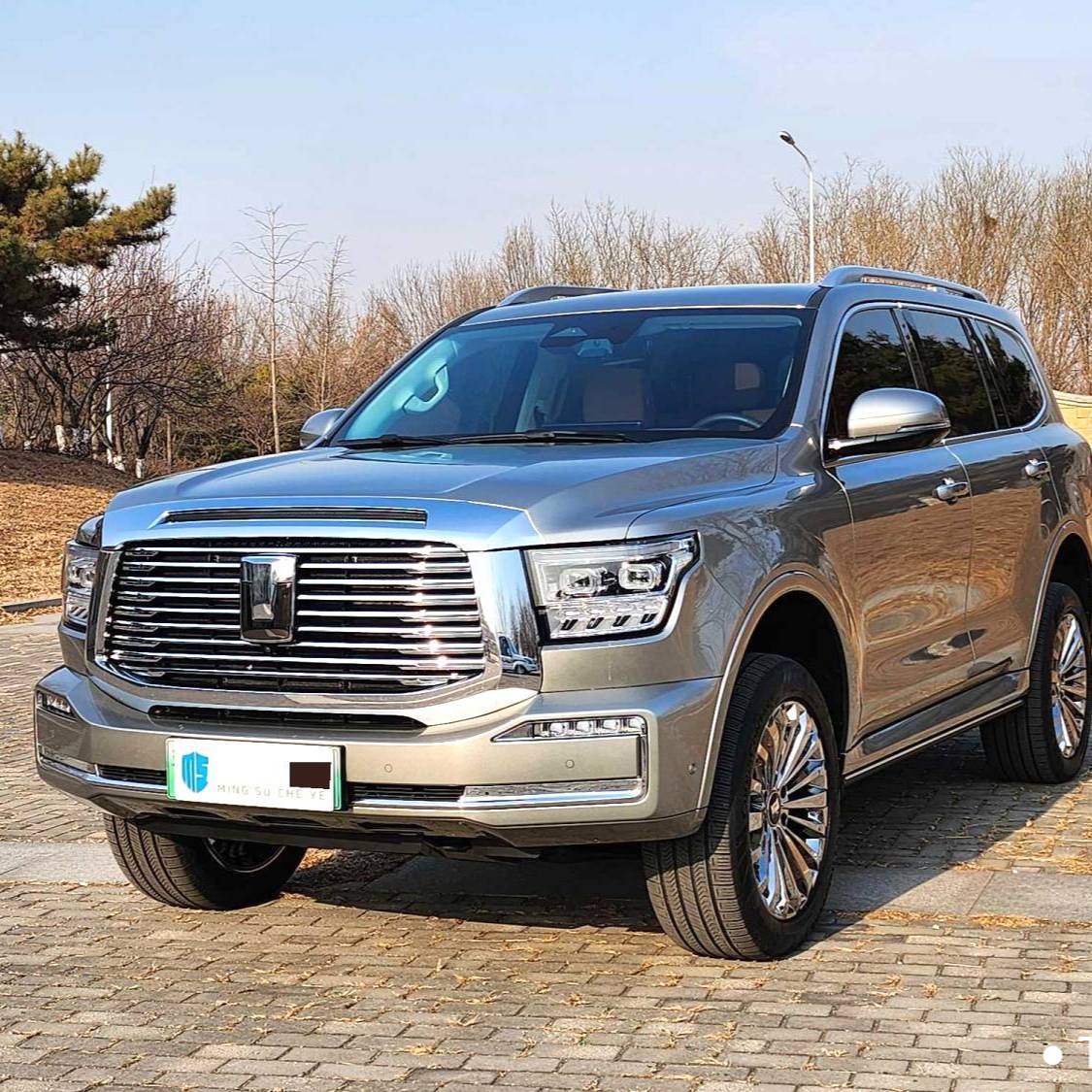 TANK 500 New Energy 2023 TANK 500 Hi4-T 2.0T Hi4-T Automatic Transmission Used Car