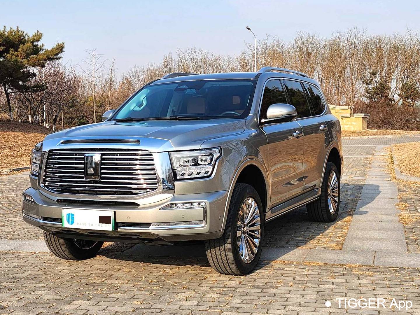 TANK 500 New Energy 2023 TANK 500 Hi4-T 2.0T Hi4-T Automatic Transmission