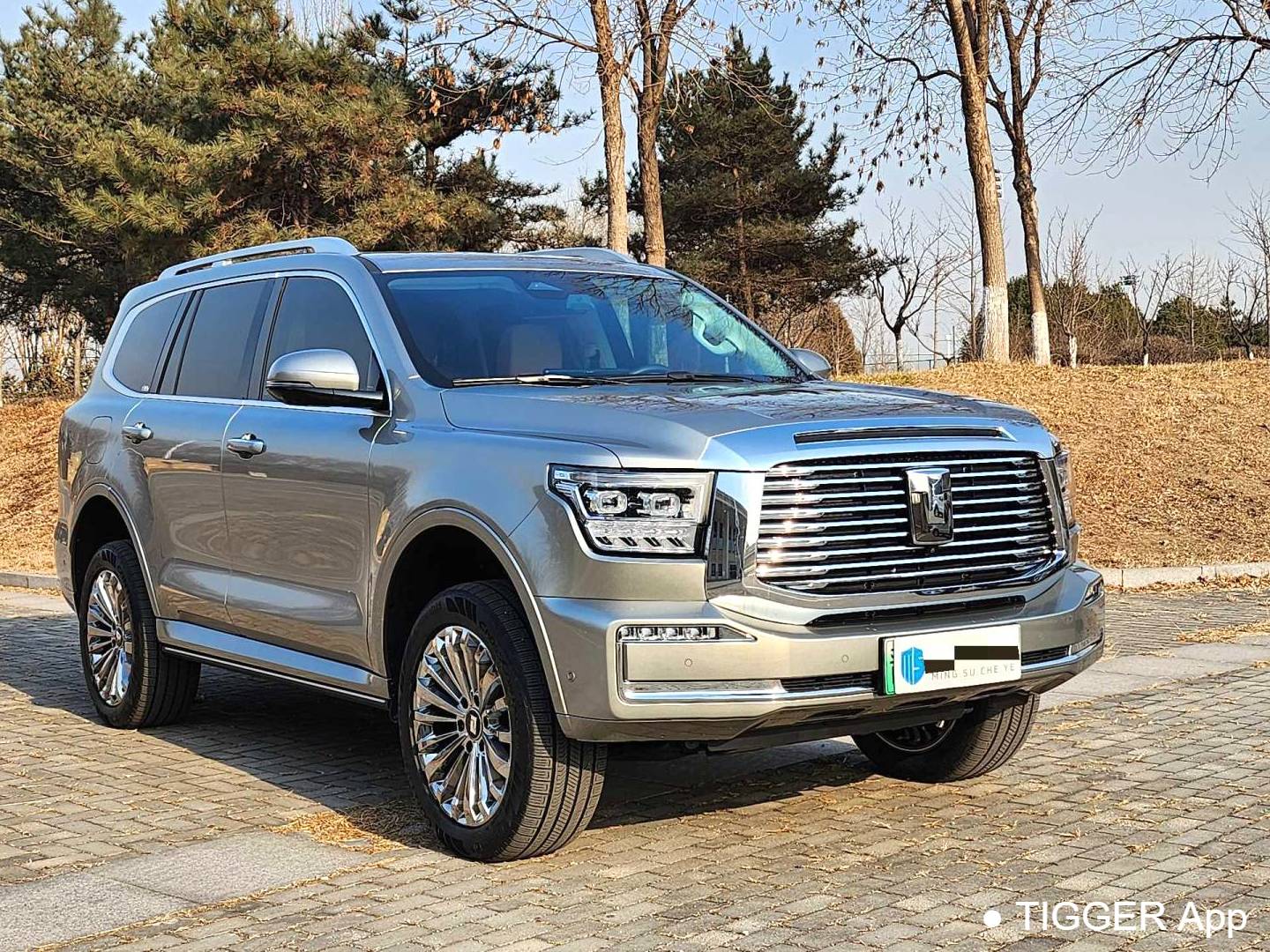 TANK 500 New Energy 2023 TANK 500 Hi4-T 2.0T Hi4-T Automatic Transmission