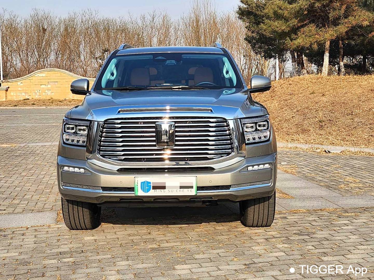 TANK 500 New Energy 2023 TANK 500 Hi4-T 2.0T Hi4-T Automatic Transmission