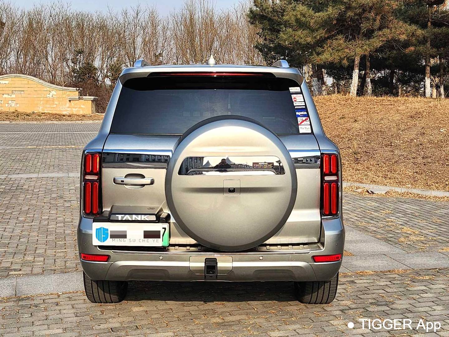 TANK 500 New Energy 2023 TANK 500 Hi4-T 2.0T Hi4-T Automatic Transmission