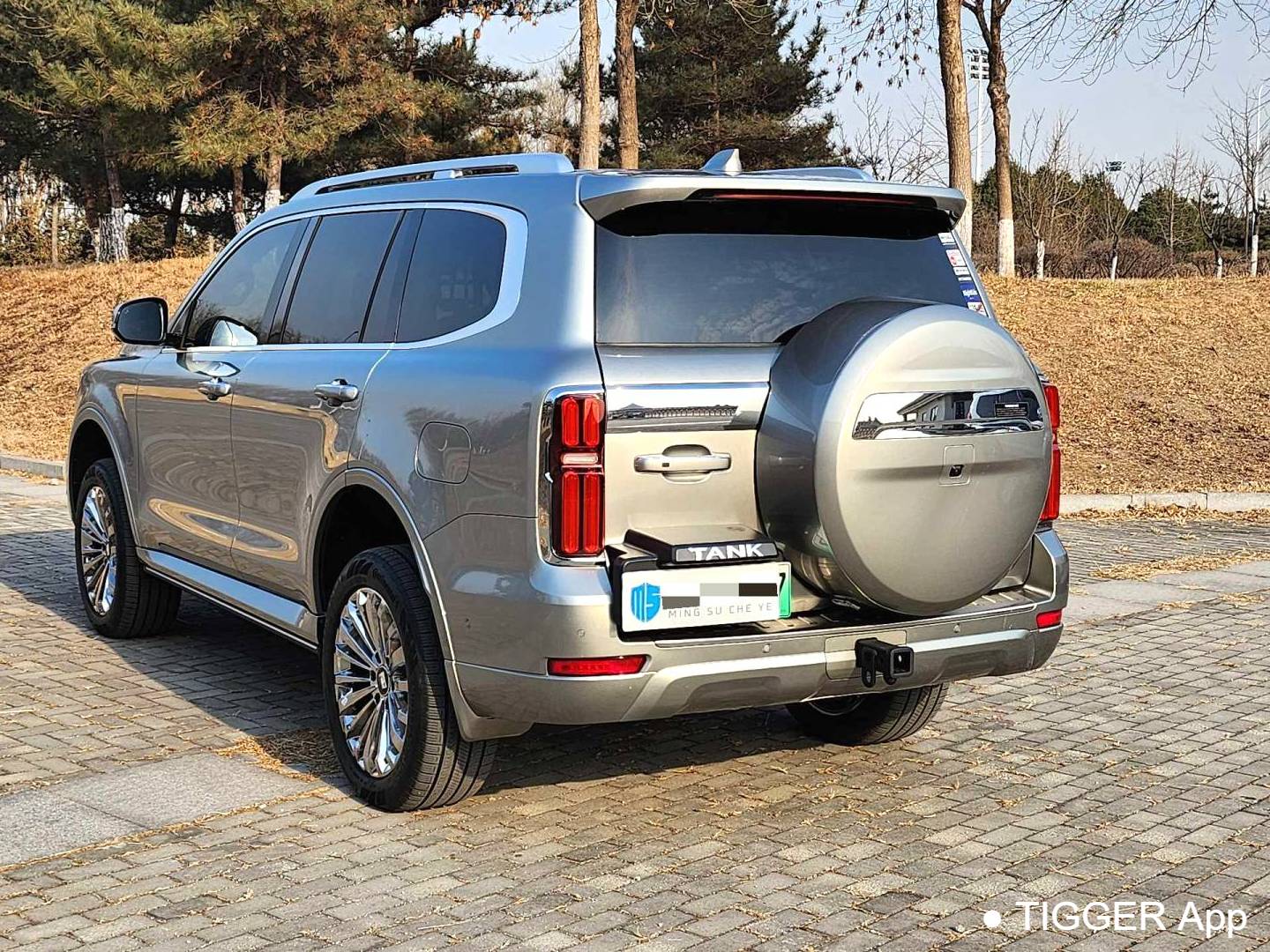 TANK 500 New Energy 2023 TANK 500 Hi4-T 2.0T Hi4-T Automatic Transmission