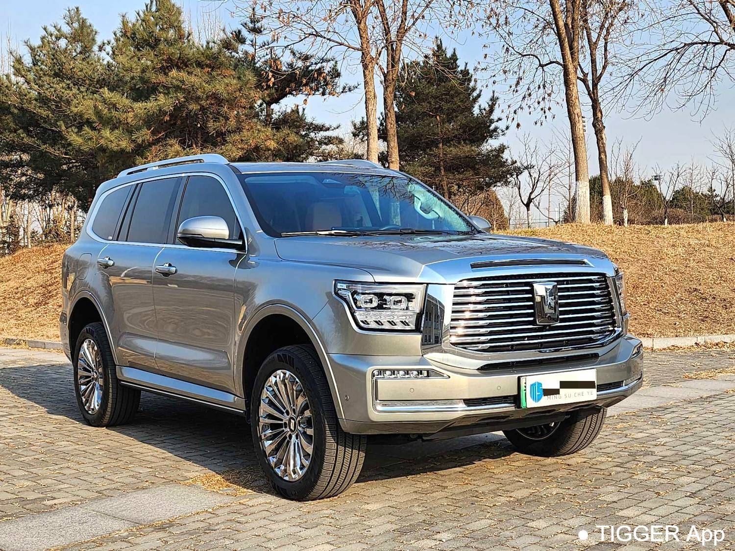 used TANK 500 New Energy 2023 TANK 500 Hi4-T 2.0T Hi4-T Automatic Transmission