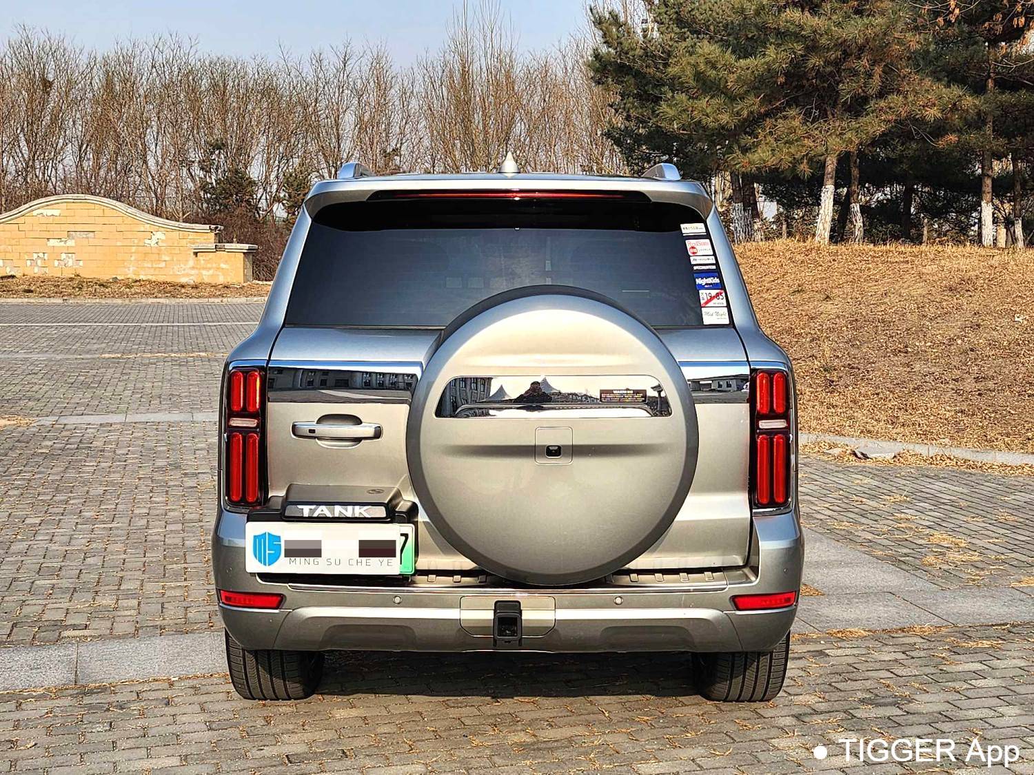 used TANK 500 New Energy 2023 TANK 500 Hi4-T 2.0T Hi4-T Automatic Transmission