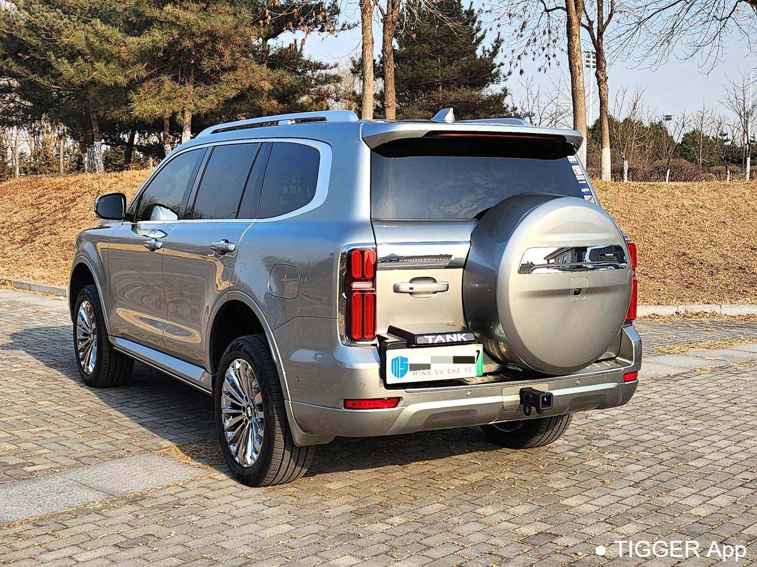 used TANK 500 New Energy 2023 TANK 500 Hi4-T 2.0T Hi4-T Automatic Transmission