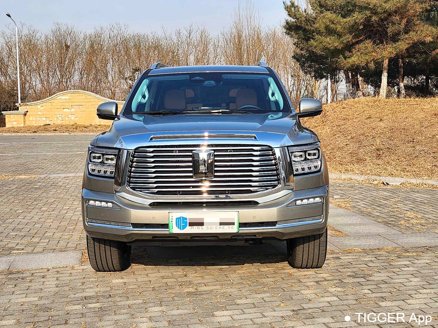 used TANK 500 New Energy 2023 TANK 500 Hi4-T 2.0T Hi4-T Automatic Transmission