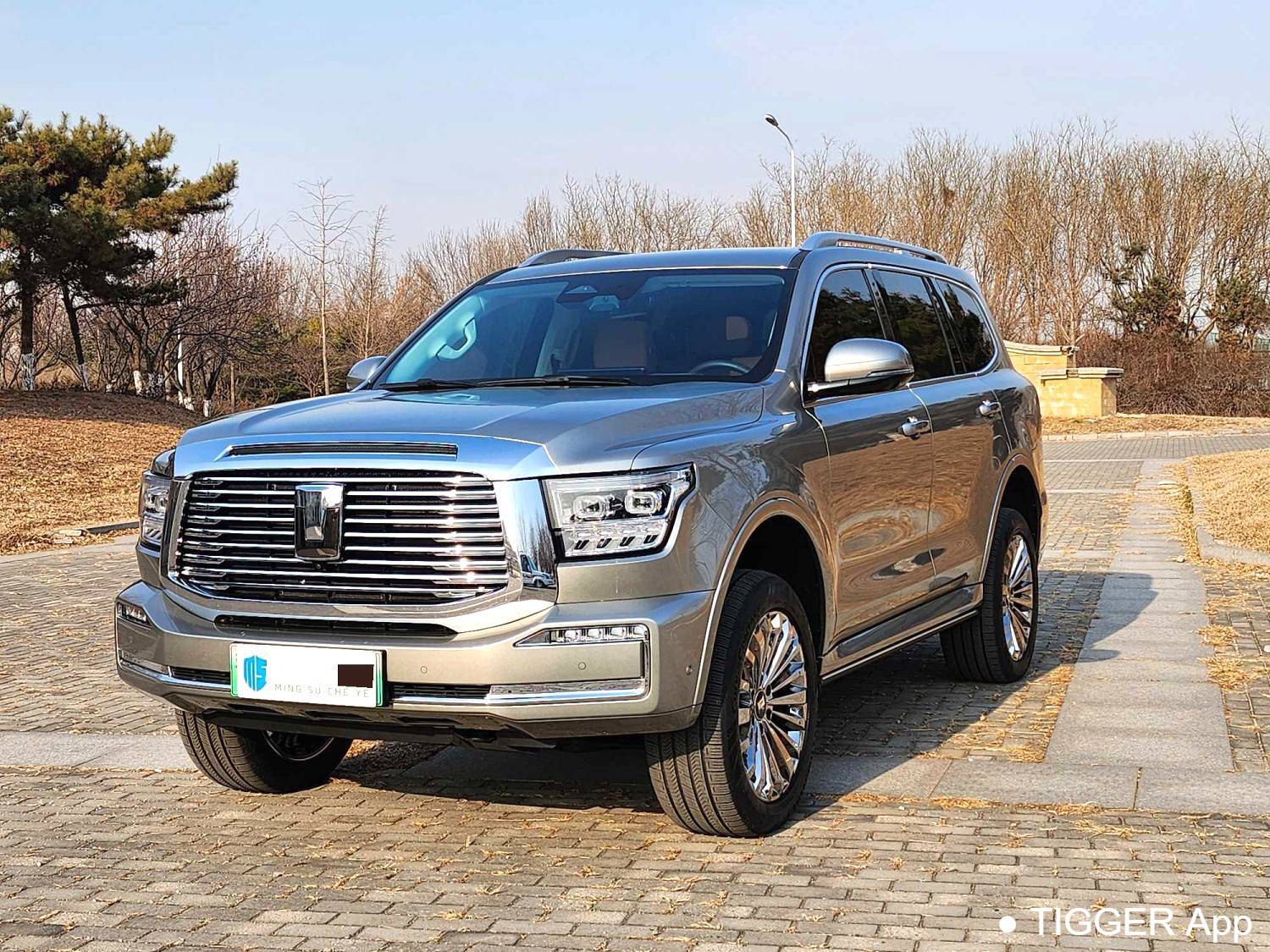 used TANK 500 New Energy 2023 TANK 500 Hi4-T 2.0T Hi4-T Automatic Transmission