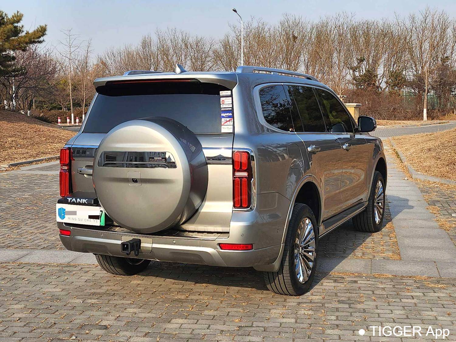 used TANK 500 New Energy 2023 TANK 500 Hi4-T 2.0T Hi4-T Automatic Transmission