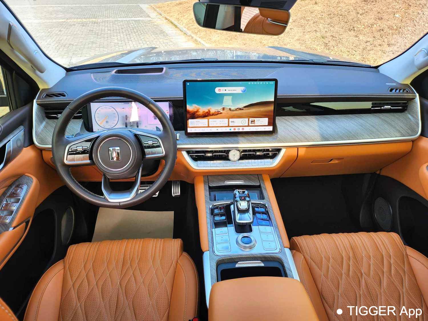 used TANK 500 New Energy 2023 TANK 500 Hi4-T 2.0T Hi4-T Automatic Transmission