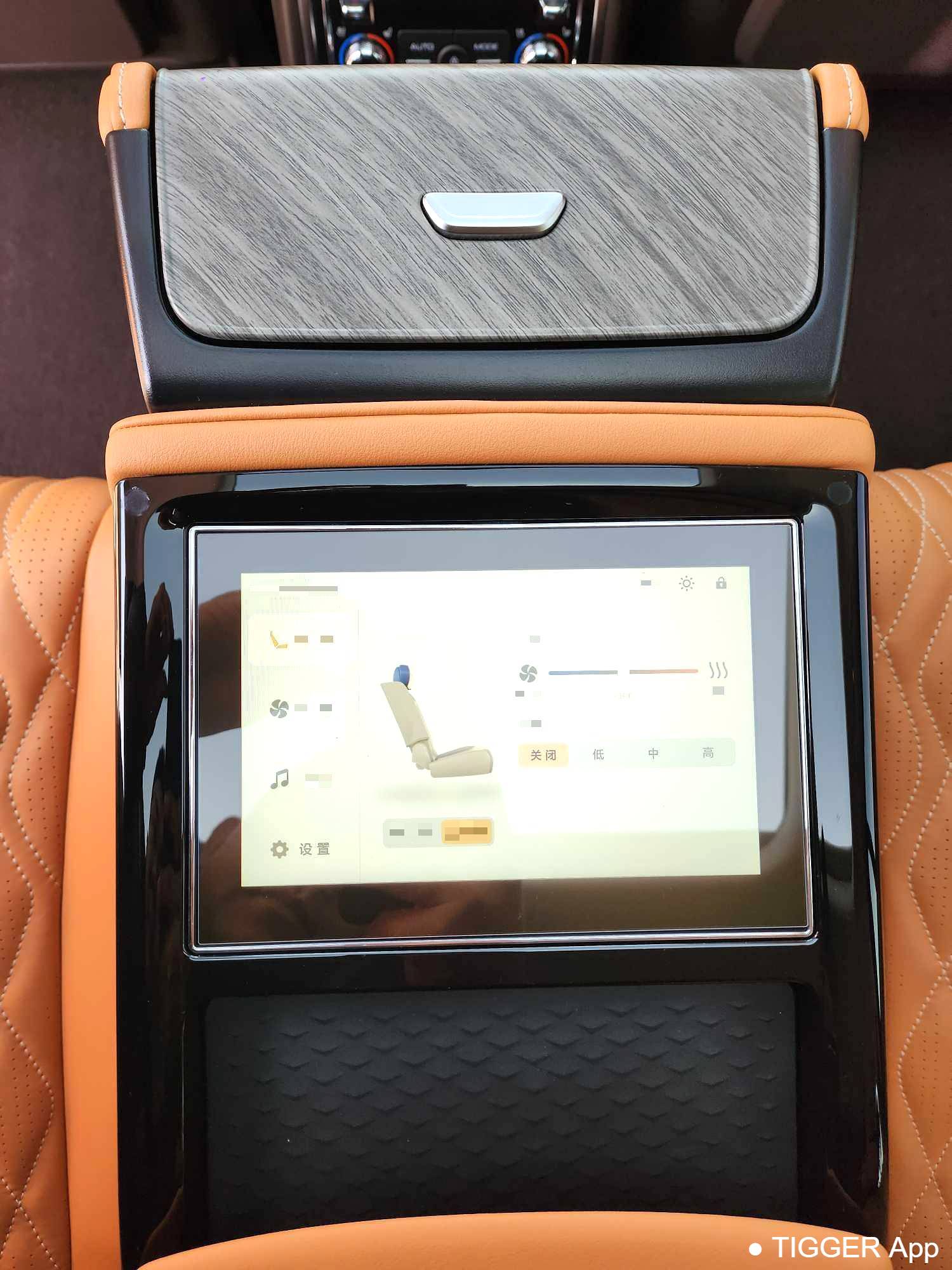 used TANK 500 New Energy 2023 TANK 500 Hi4-T 2.0T Hi4-T Automatic Transmission