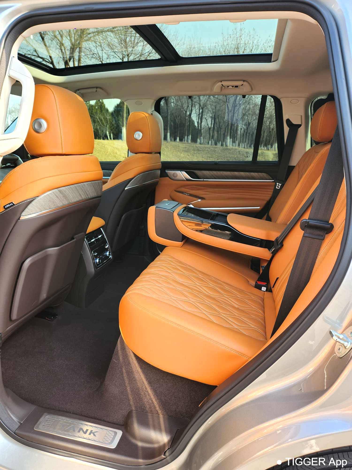 used TANK 500 New Energy 2023 TANK 500 Hi4-T 2.0T Hi4-T Automatic Transmission