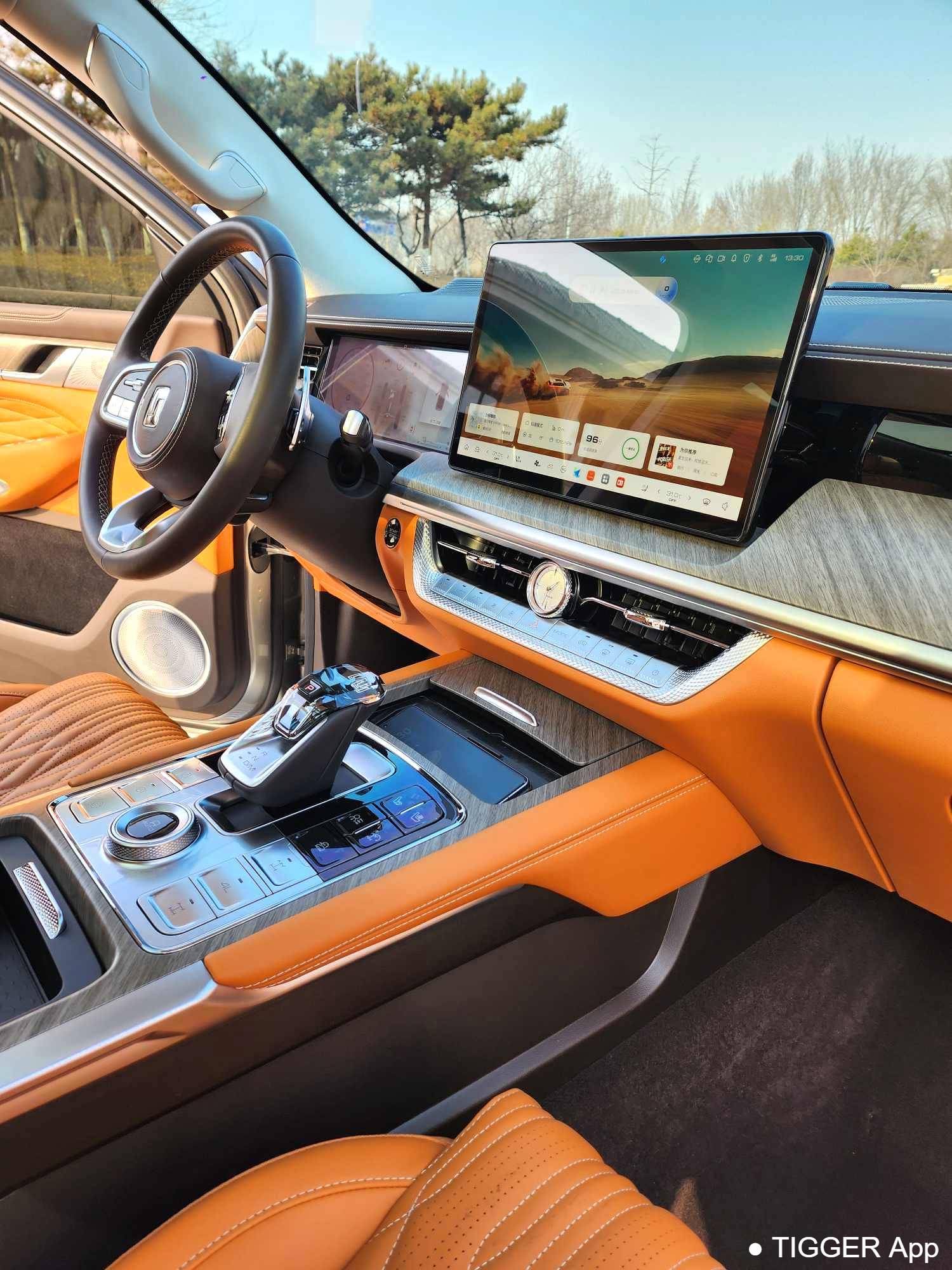 used TANK 500 New Energy 2023 TANK 500 Hi4-T 2.0T Hi4-T Automatic Transmission