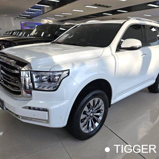 TANK 2023 TANK 500 48V 3.0T Sport Build Environment 7-seater automatic transmission Used Car