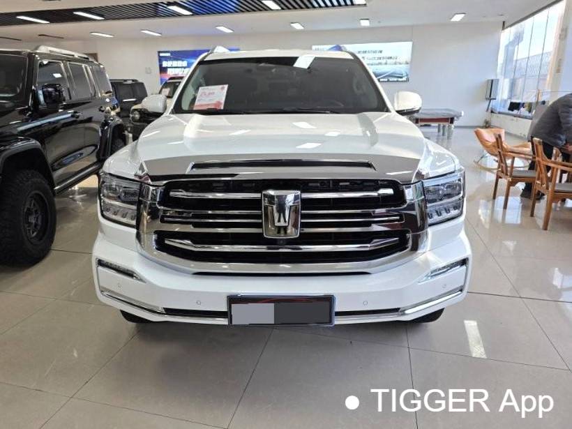 TANK 2023 TANK 500 48V 3.0T Sport Build Environment 7-seater automatic transmission