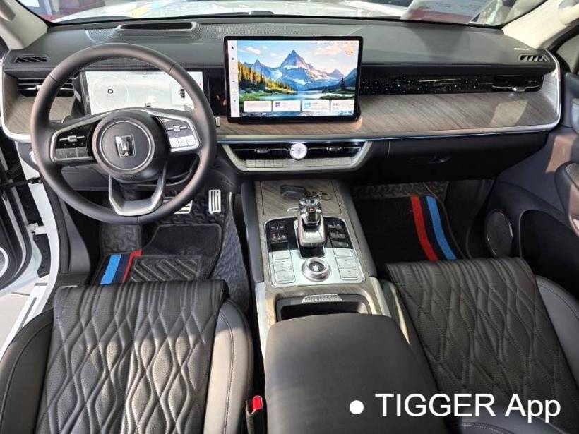 TANK 2023 TANK 500 48V 3.0T Sport Build Environment 7-seater automatic transmission