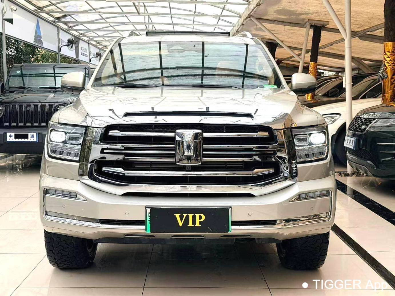 TANK 500 New Energy 2023 TANK 500 Hi4-T 2.0T Hi4-T Automatic Transmission