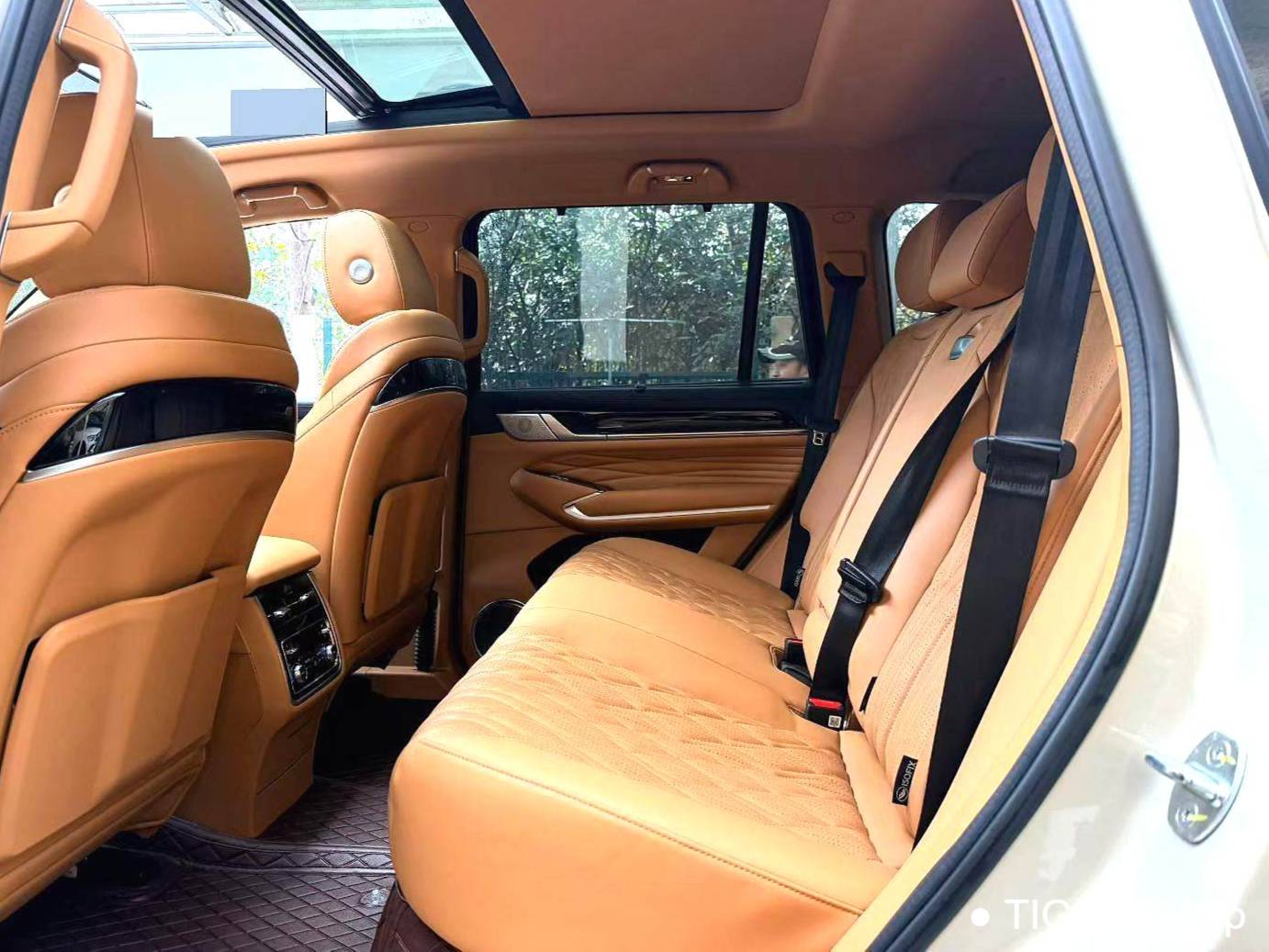 TANK 500 New Energy 2023 TANK 500 Hi4-T 2.0T Hi4-T Automatic Transmission