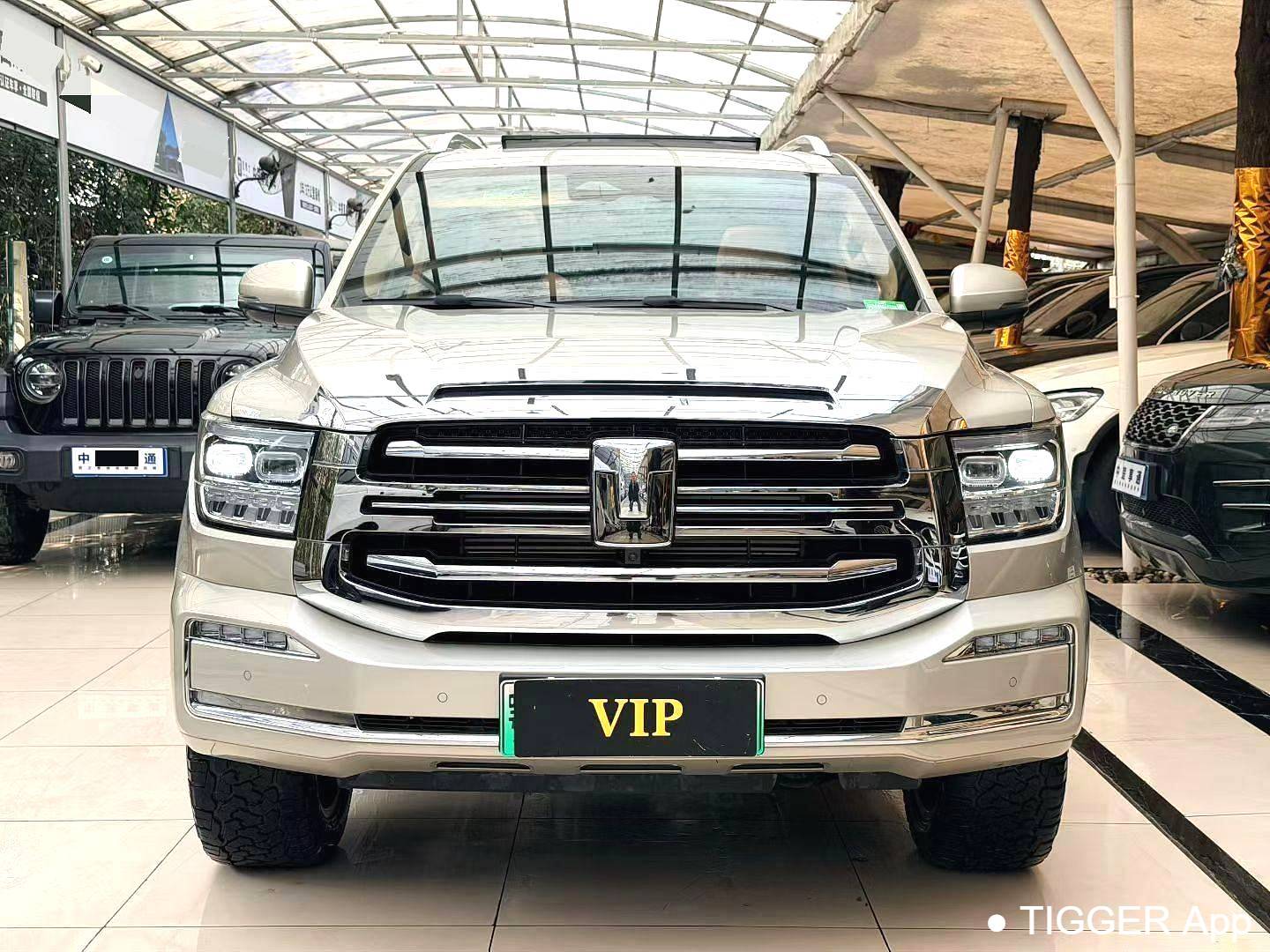 used TANK 500 New Energy 2023 TANK 500 Hi4-T 2.0T Hi4-T Automatic Transmission