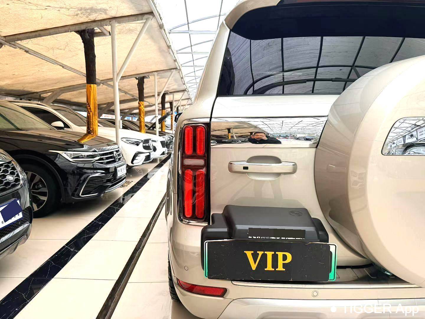 used TANK 500 New Energy 2023 TANK 500 Hi4-T 2.0T Hi4-T Automatic Transmission