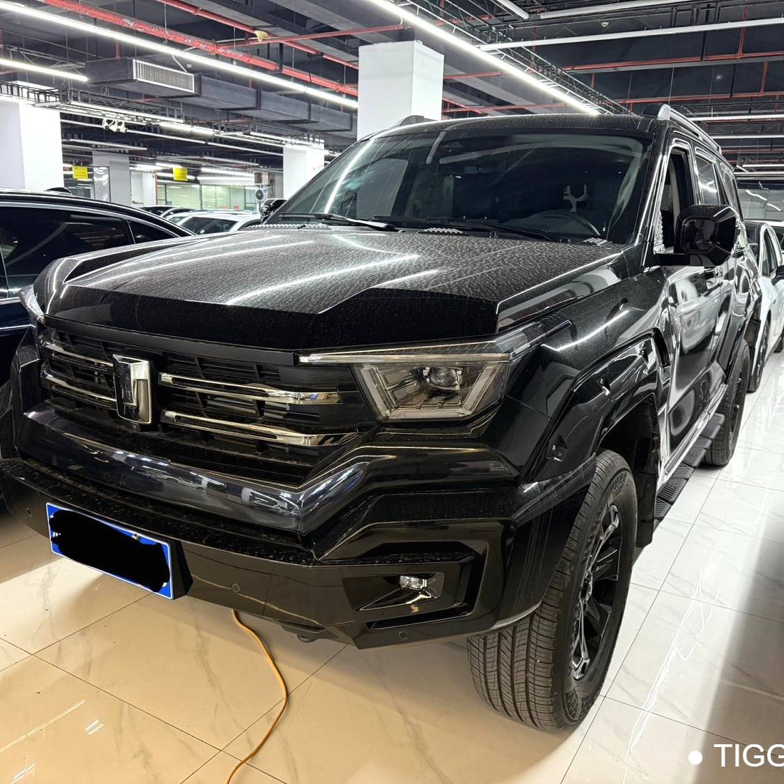 TANK  2023 TANK  400 2.0T Automatic Transmission Used Car