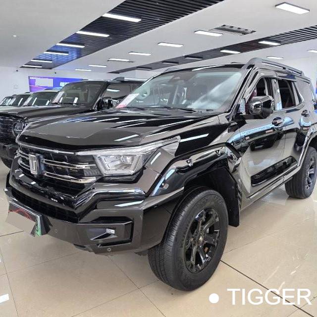 TANK 2023 TANK 400 Hi4-T 2.0T Superpower Edition Automatic Transmission Used Car