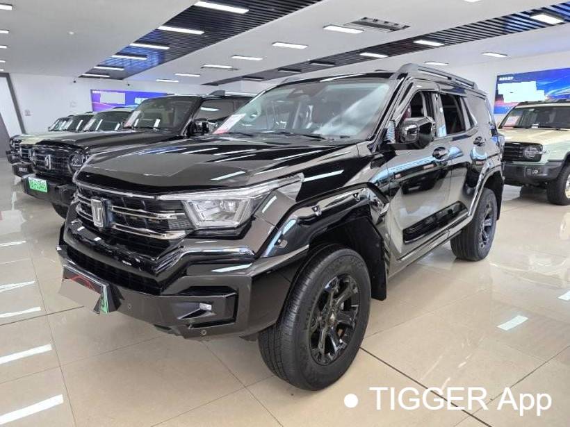 TANK 2023 TANK 400 Hi4-T 2.0T Superpower Edition Automatic Transmission