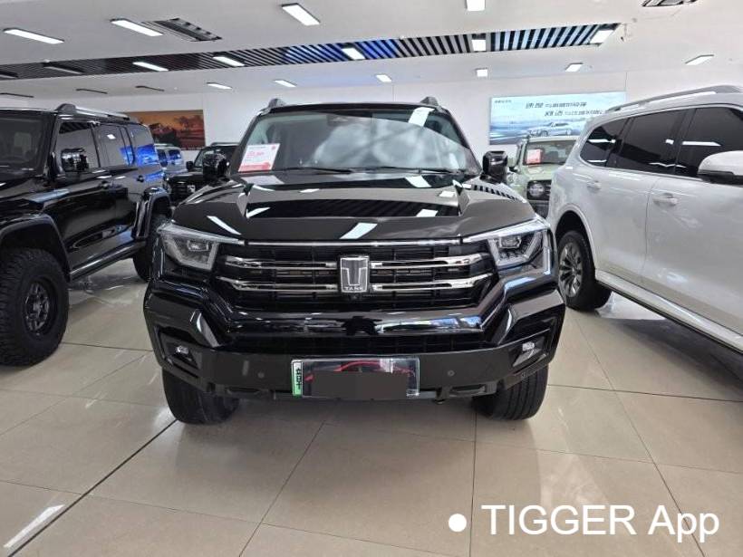 TANK 2023 TANK 400 Hi4-T 2.0T Superpower Edition Automatic Transmission