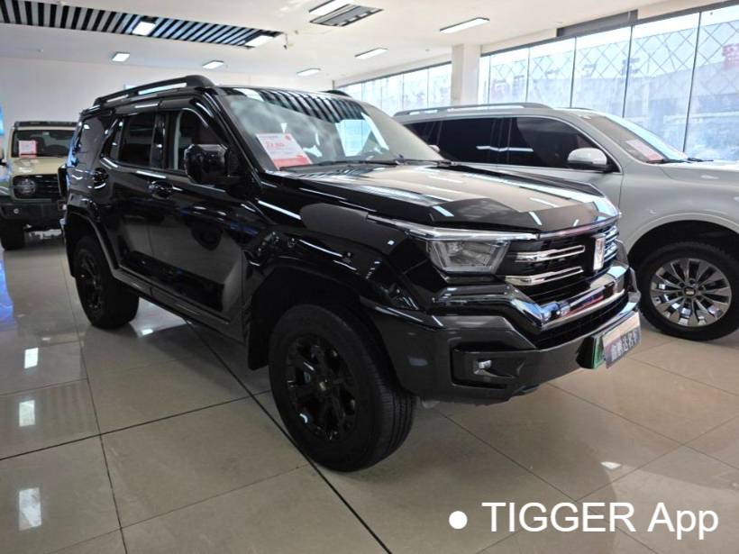 TANK 2023 TANK 400 Hi4-T 2.0T Superpower Edition Automatic Transmission