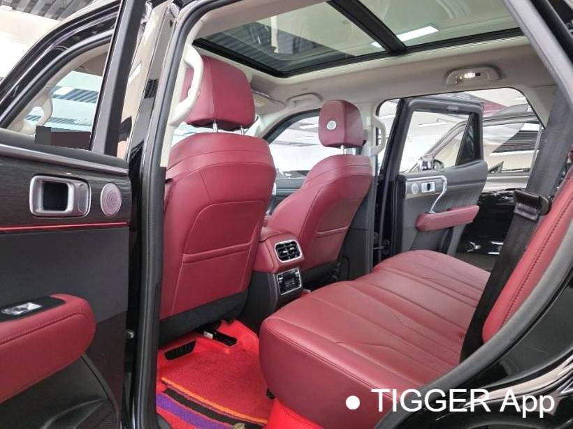 TANK 2023 TANK 400 Hi4-T 2.0T Superpower Edition Automatic Transmission