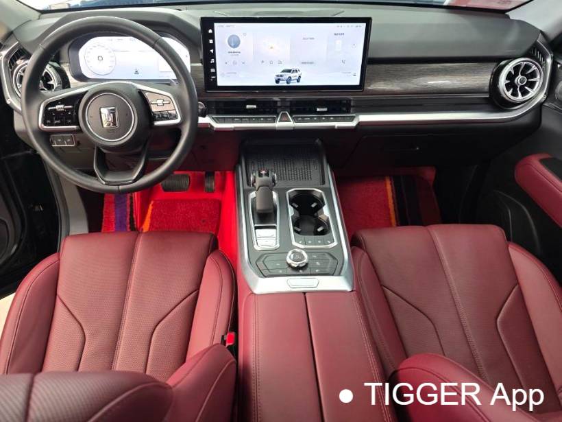 TANK 2023 TANK 400 Hi4-T 2.0T Superpower Edition Automatic Transmission