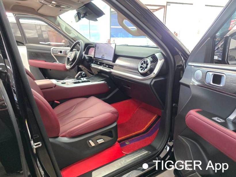 TANK 2023 TANK 400 Hi4-T 2.0T Superpower Edition Automatic Transmission