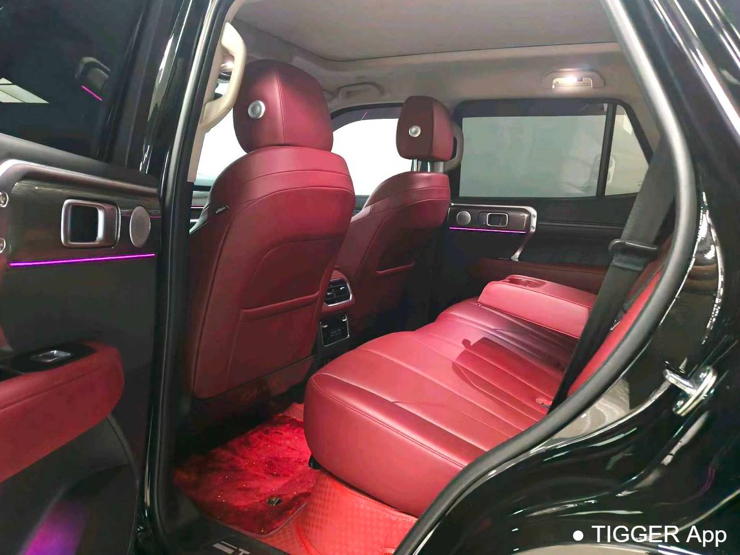 TANK 2023 TANK 400 Hi4-T 2.0T Superpower Edition Automatic Transmission