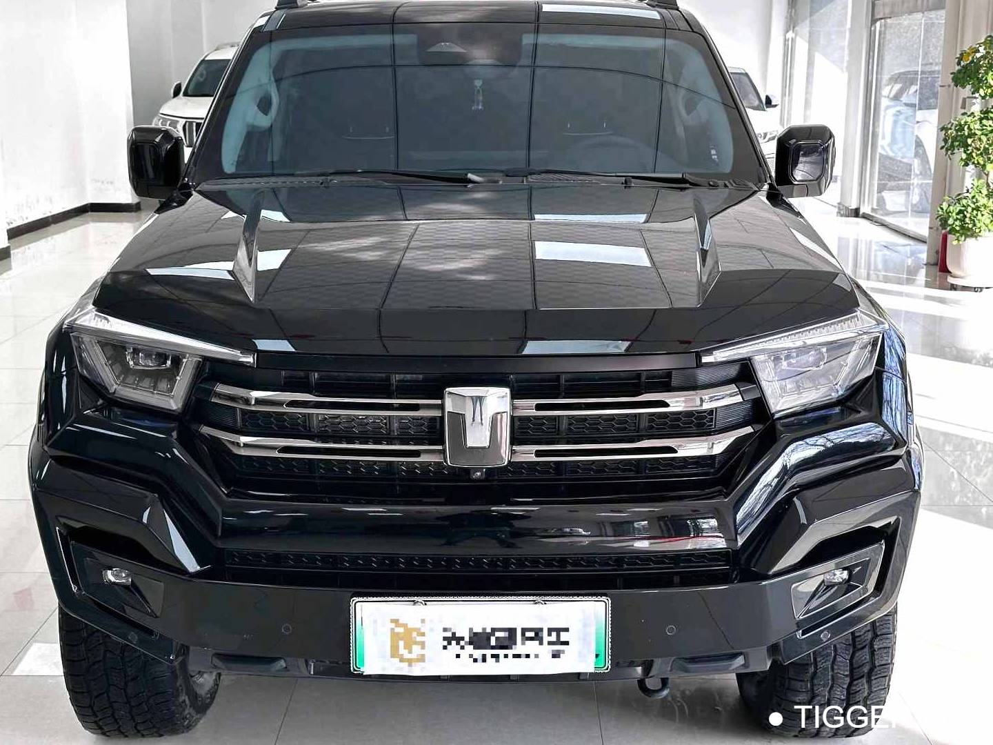 TANK 2024 TANK 400 Hi4-T 2.0T Off road Edition Automatic Transmission