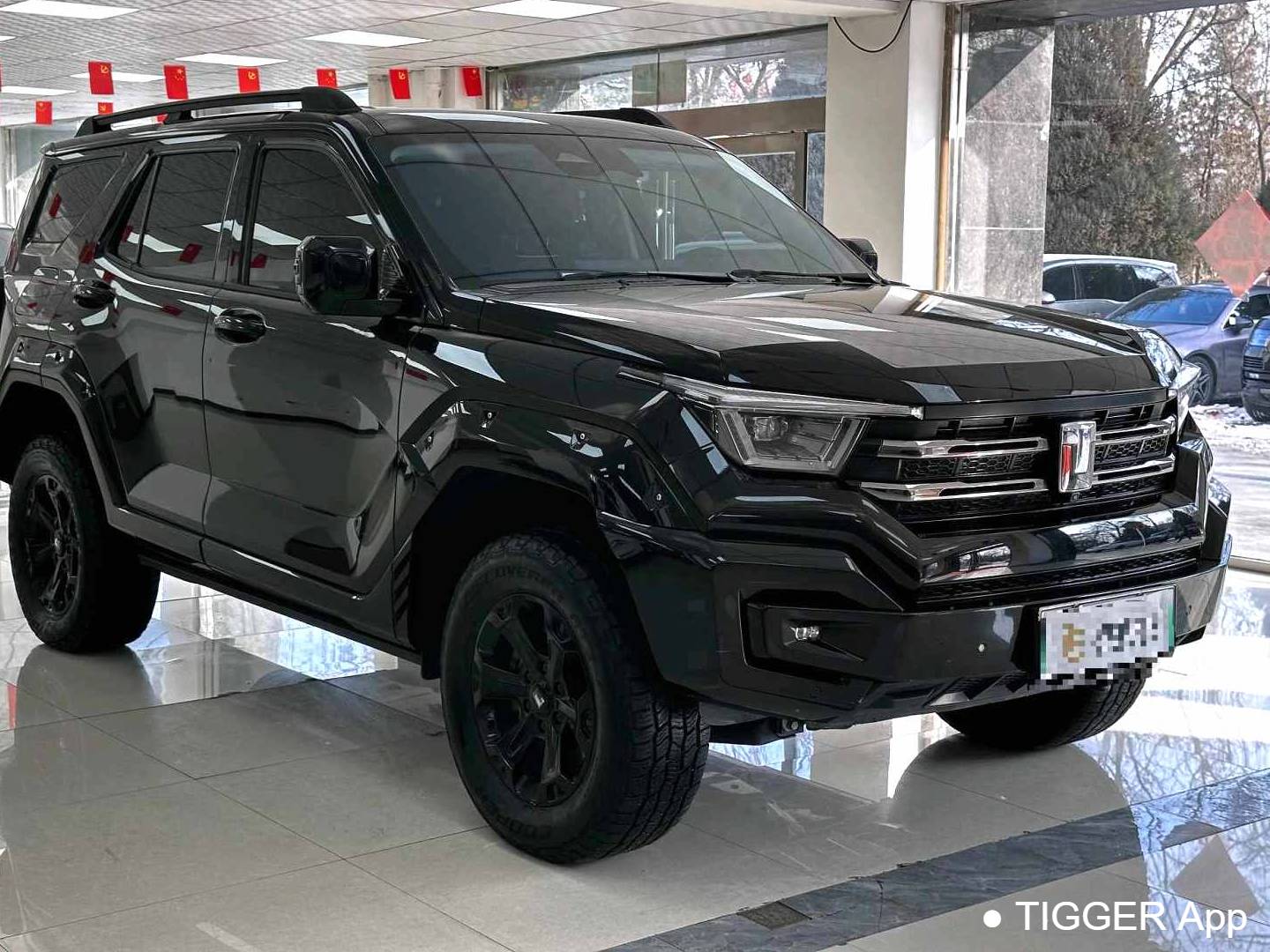 TANK 2024 TANK 400 Hi4-T 2.0T Off road Edition Automatic Transmission