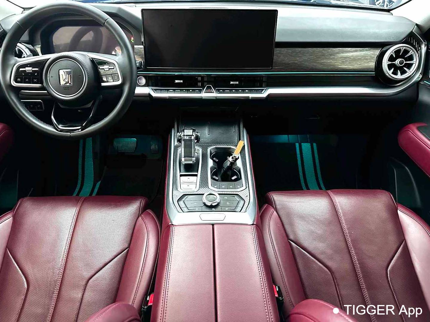 TANK 2024 TANK 400 Hi4-T 2.0T Off road Edition Automatic Transmission