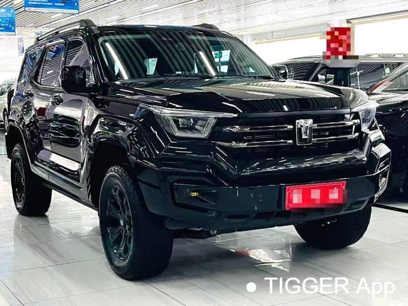 TANK 2024 TANK 400 Hi4-T 2.0T Off road Edition Automatic Transmission