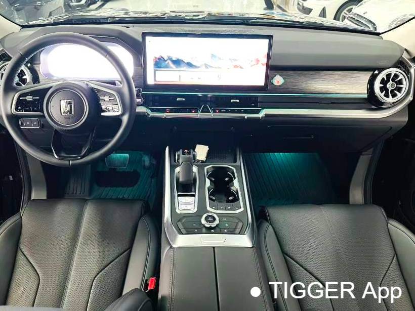 TANK 2024 TANK 400 Hi4-T 2.0T Off road Edition Automatic Transmission